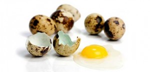 huevos-codorniz