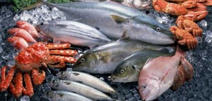 pescado-fresco